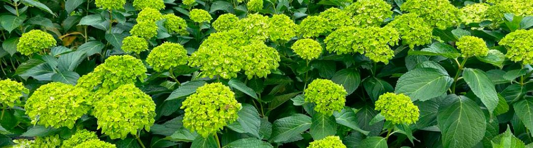 3cfe5a94-3477-476f-9867-4ebc0fbc77ca.jpg.jfif